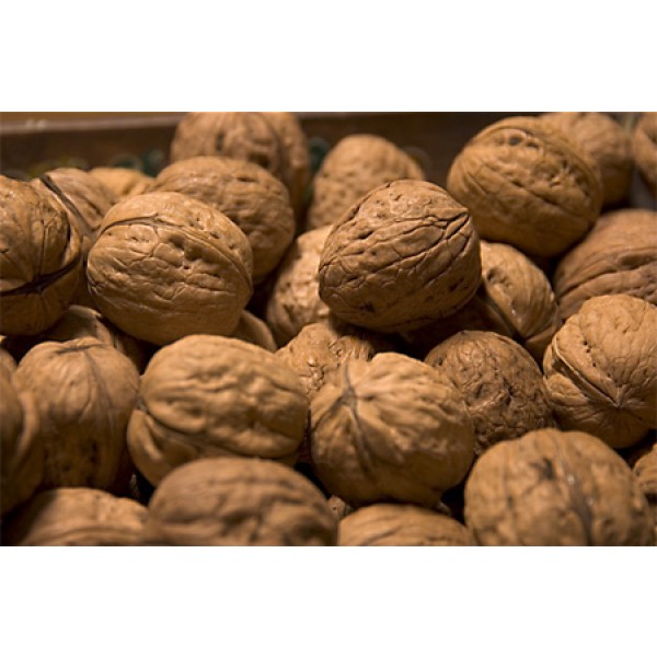 Nueces